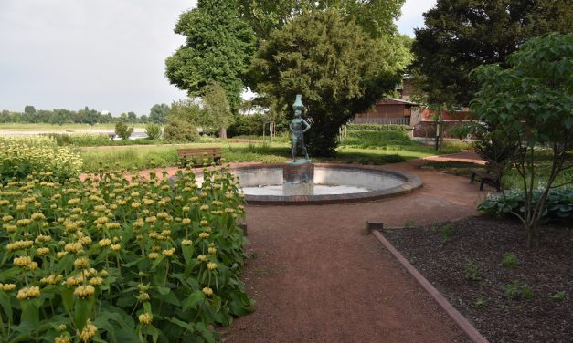 Alle Brunnen laufen&nbsp;?