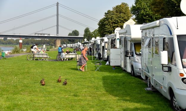 Besucher aus aller&nbsp;Welt