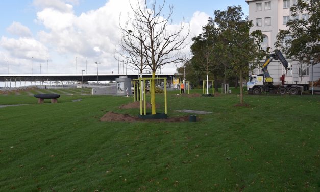 Metrowiese wieder hergerichtet