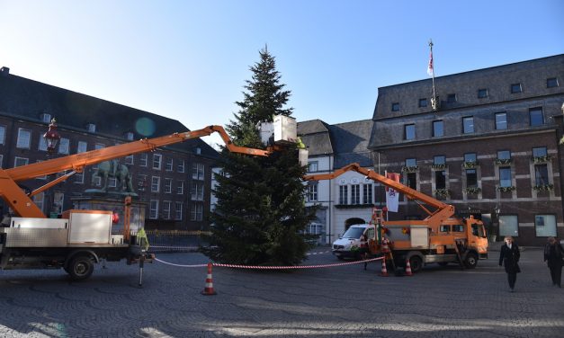 Weihnachtsbaum aufgestellt