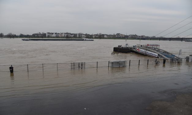 Rhein-Hochwasser in Düsseldorf: Stadtentwässerungsbetrieb leitet Schutzmaßnahmen ein