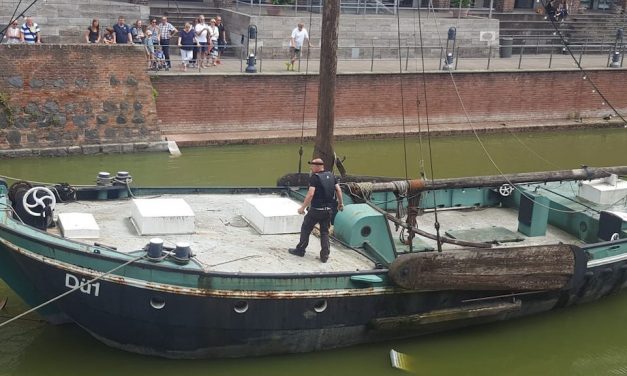 Gänsefamilie auf historischem Schiff gefangen