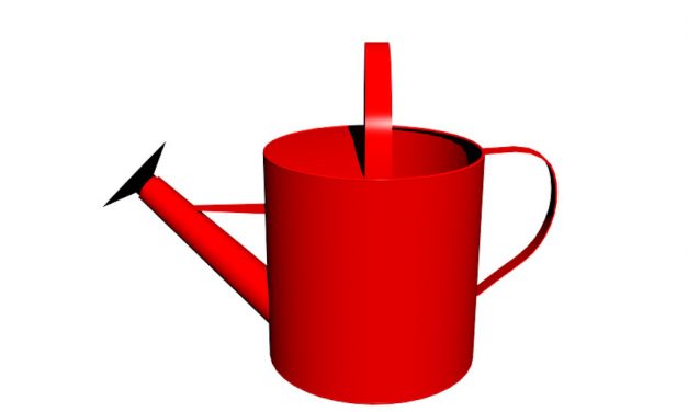 Stadtentwässerung und Gartenamt haben 160 Gießkannen verschenkt