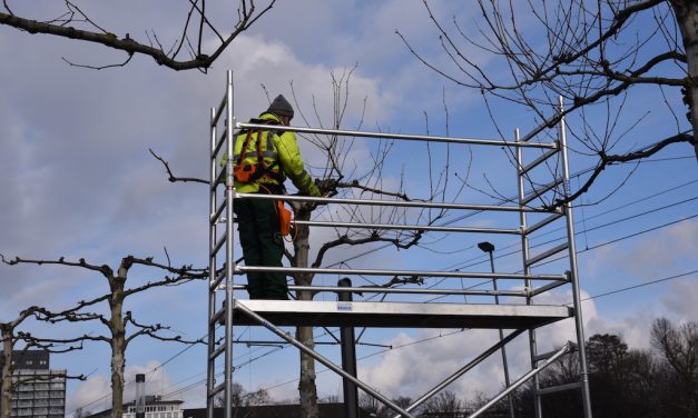 Gelbwesten am Kö-Bogen!