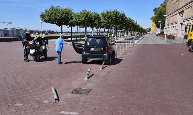 Smart Fahrerin legte fünf Poller flach