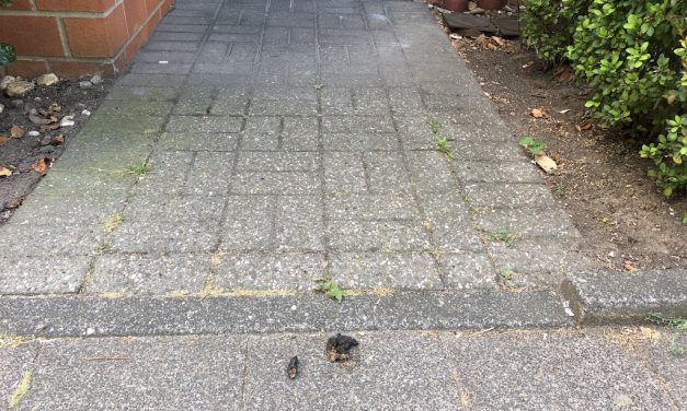 Muss das&nbsp;sein…