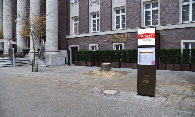 Baumbetrug — so verarscht uns die&nbsp;Stadt