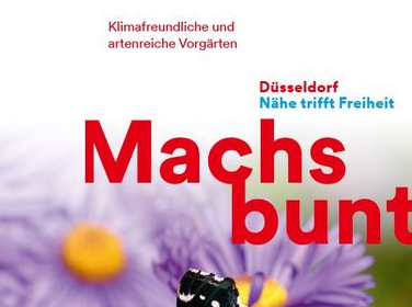 “Mach’s bunt”: Städtische Kampagne für die Begrünung von Vorgärten