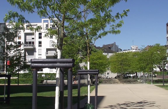 Anhaltende Trockenheit zeigt Spuren im Stadtgrün