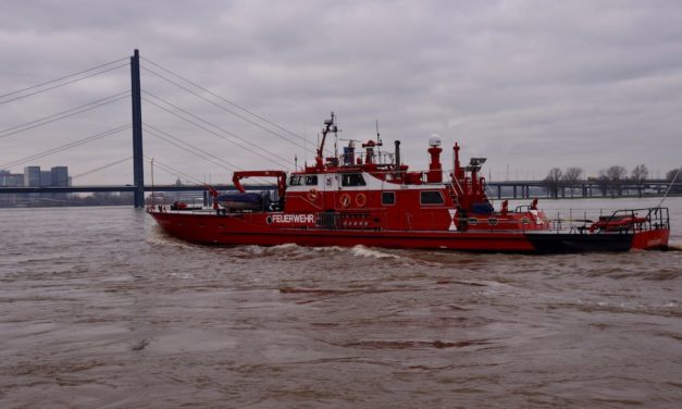 Schwimmer im&nbsp;Rhein