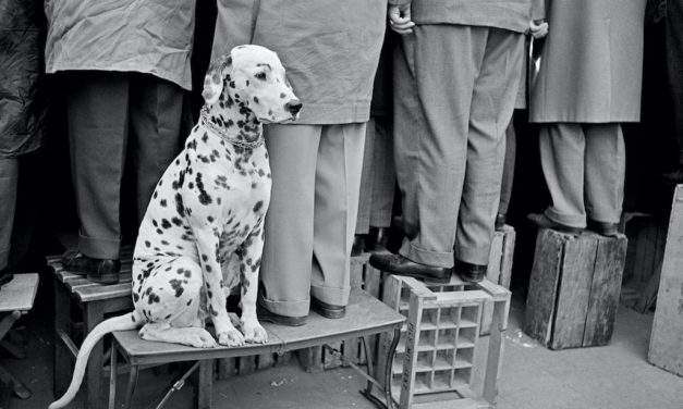 Die Leica Galerie Düsseldorf präsentiert Werke von Walter Vogel