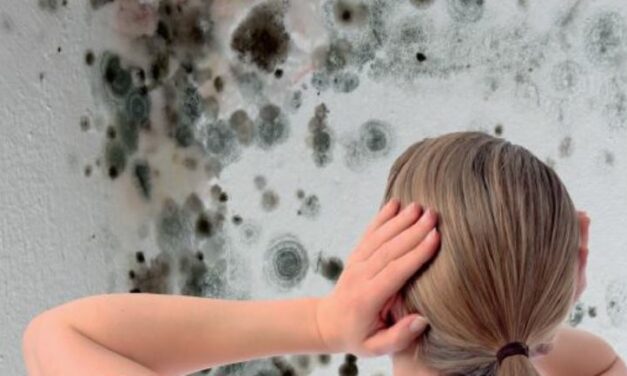 Feuchteschäden und Schimmelgefahr in Wohnungen