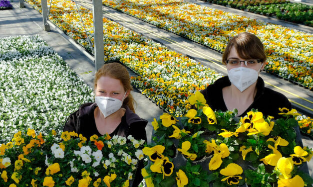 Auftakt zur Frühlingsbepflanzung: Fast 230.000 neue Blumen blühen bald in der&nbsp;Stadt