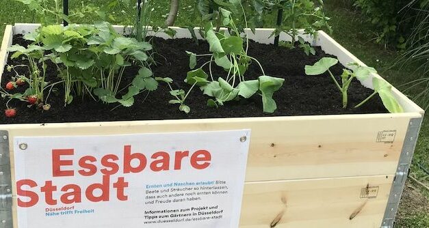 Förderprojekt “Essbare Stadt” wird fortgesetzt