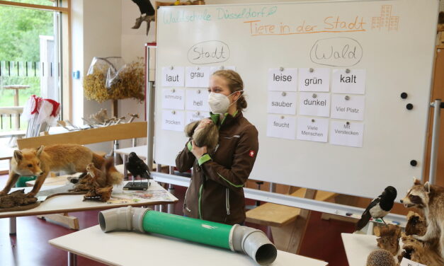 Waldschule startet Videokonferenz-Unterricht für Grundschulen