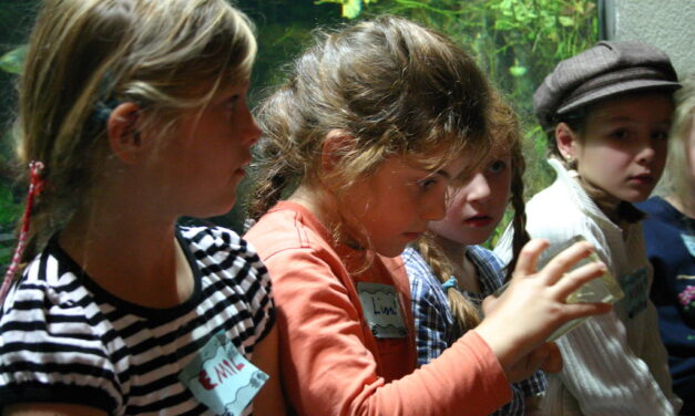 Ferienangebote der Kultur: Auf den Spuren Goethes oder ins “Reich der&nbsp;Mitte”