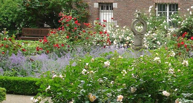 Stadt vergibt Patenschaften für Rosengarten in der Carlstadt