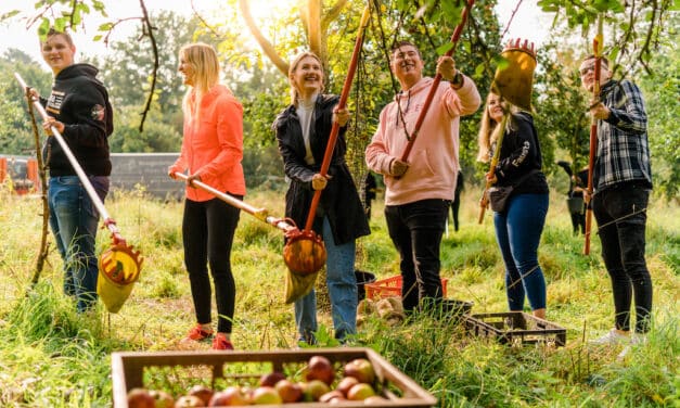 Bankazubis sammeln Äpfel für den guten&nbsp;Zweck