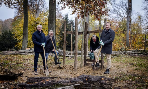 Rheinbahn spendet der Stadt 125&nbsp;Bäume