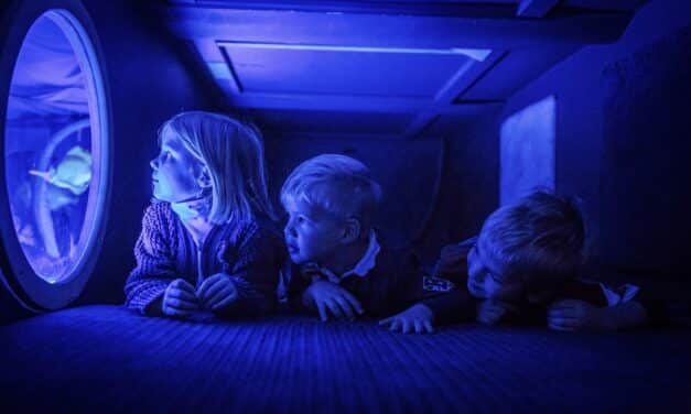 Mit dem U‑Boot zurück auf Gesundheitskurs