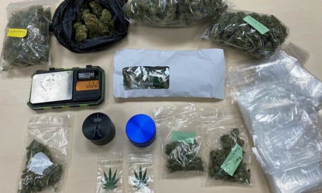 Cannabisgeruch dringt Polizisten in die&nbsp;Nase