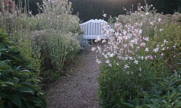 “Offene Gartenpforte” — Tag der offenen Tür für Gärten