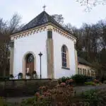 Neues Zuhause für die Zauneidechse: Stadt legt Biotop auf dem Waldfriedhof Gerresheim an