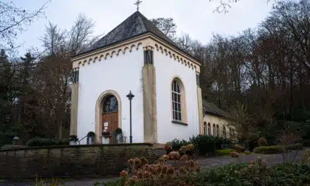 Neues Zuhause für die Zauneidechse: Stadt legt Biotop auf dem Waldfriedhof Gerresheim an