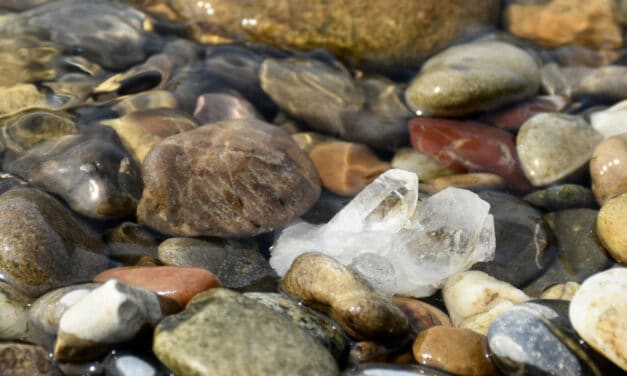 “Schätze aus dem&nbsp;Rhein”