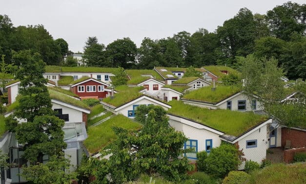 Endspurt für Bewerbungen “Düsseldorfer Umweltpreis” läuft