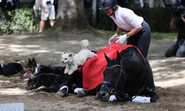 Großer Sparkassen-Familientag lockt große und kleine Düsseldorfer zum Grafenberg