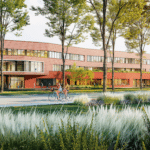 Straßenbau für neues Luisen-Gymnasium startet Mitte&nbsp;März