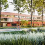 Straßenbau für neues Luisen-Gymnasium startet Mitte&nbsp;März