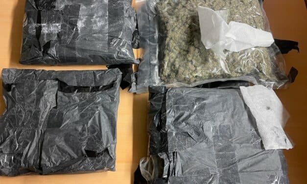 Zoll findet 3 Kilogramm Cannabis