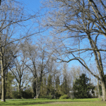 Waldfriedhof Gerresheim wird am Mittwoch vorübergehend geschlossen