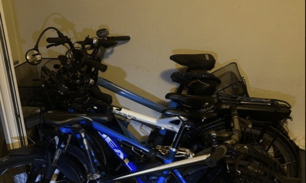 Mehrere Fahrraddiebe auf frischer Tat ertappt