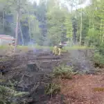 Feuerwehr verhindert größeren Waldbrand in Ludenberg