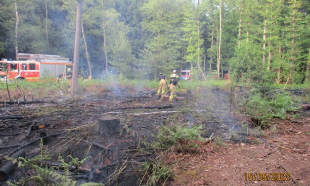 Feuerwehr verhindert größeren Waldbrand in Ludenberg
