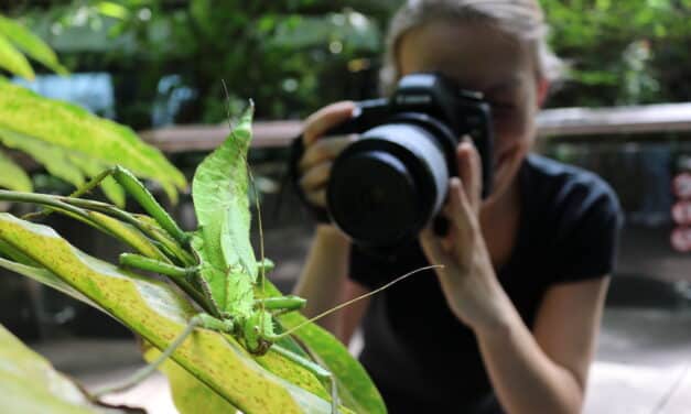 Workshop für Erwachsene zur Tierfotografie im Aquazoo Löbbecke Museum