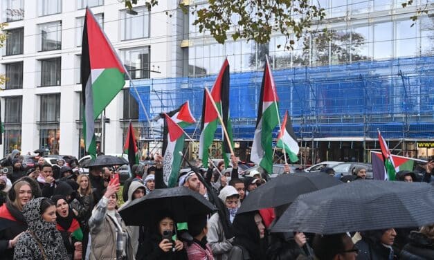 Nächste Palästinenser-Demo für 11.11. geplant