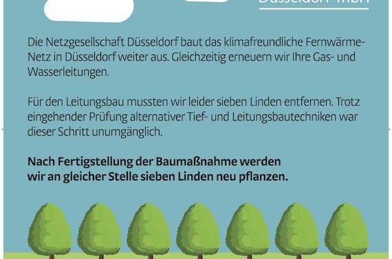 Leitungsarbeiten an der Bonner Straße: Sieben Linden werden neu gepflanzt
