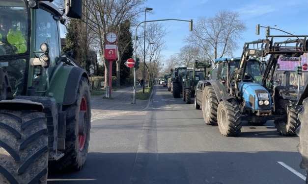 Demonstrationsgeschehen in Düsseldorf am Wochenende