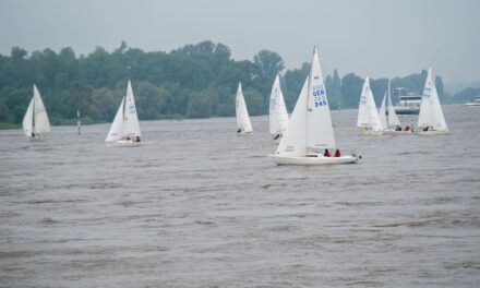 Rheinwoche 2024: Traditionelle Regatta zu Pfingsten auf dem Rhein