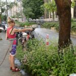Zusätzliche Wässerung der Stadtbäume beginnt