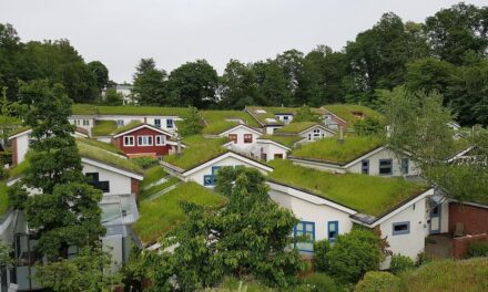 Umweltpreis der Landeshauptstadt 2024 ausgeschrieben