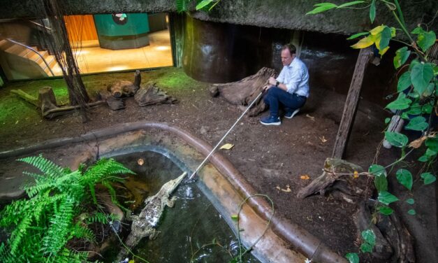 Oberbürgermeister Dr. Stephan Keller übernimmt Patenschaft für australisches Krokodil im Aquazoo