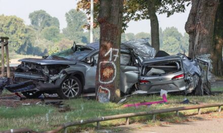 Schwerer Verkehrsunfall nach Flucht vor Polizeikontrolle — Beifahrerin stirbt an Unfallstelle