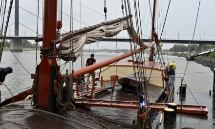 Segeltörn auf der “Helena” zwischen den Rheinbrücken