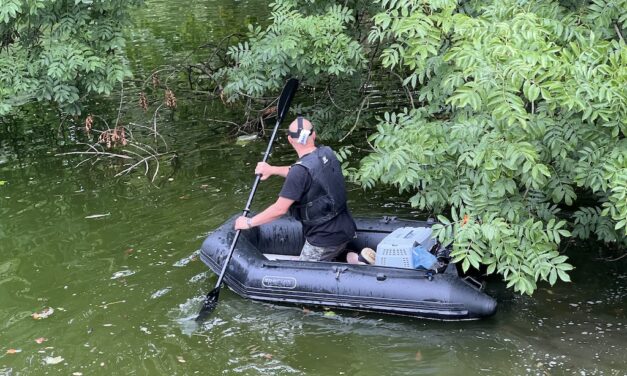 Dutzend tote Enten im Düsseldorfer Hofgarten entdeckt – Vorsicht für Hundebesitzer geboten