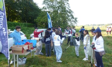 7. Rhine Clean up in Kaiserswerth